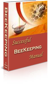 Beekeeping Guide Ebook